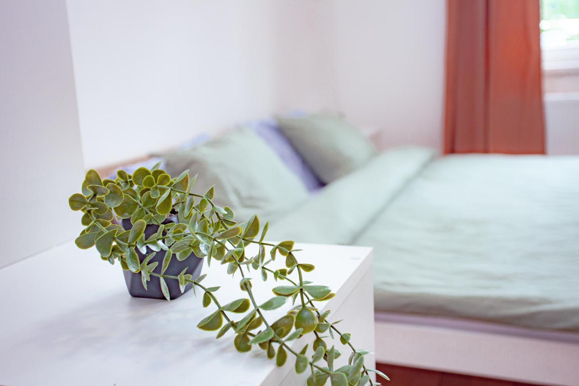 Elegance Apartments プラハ エクステリア 写真